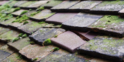 Yoxall roof repair costs